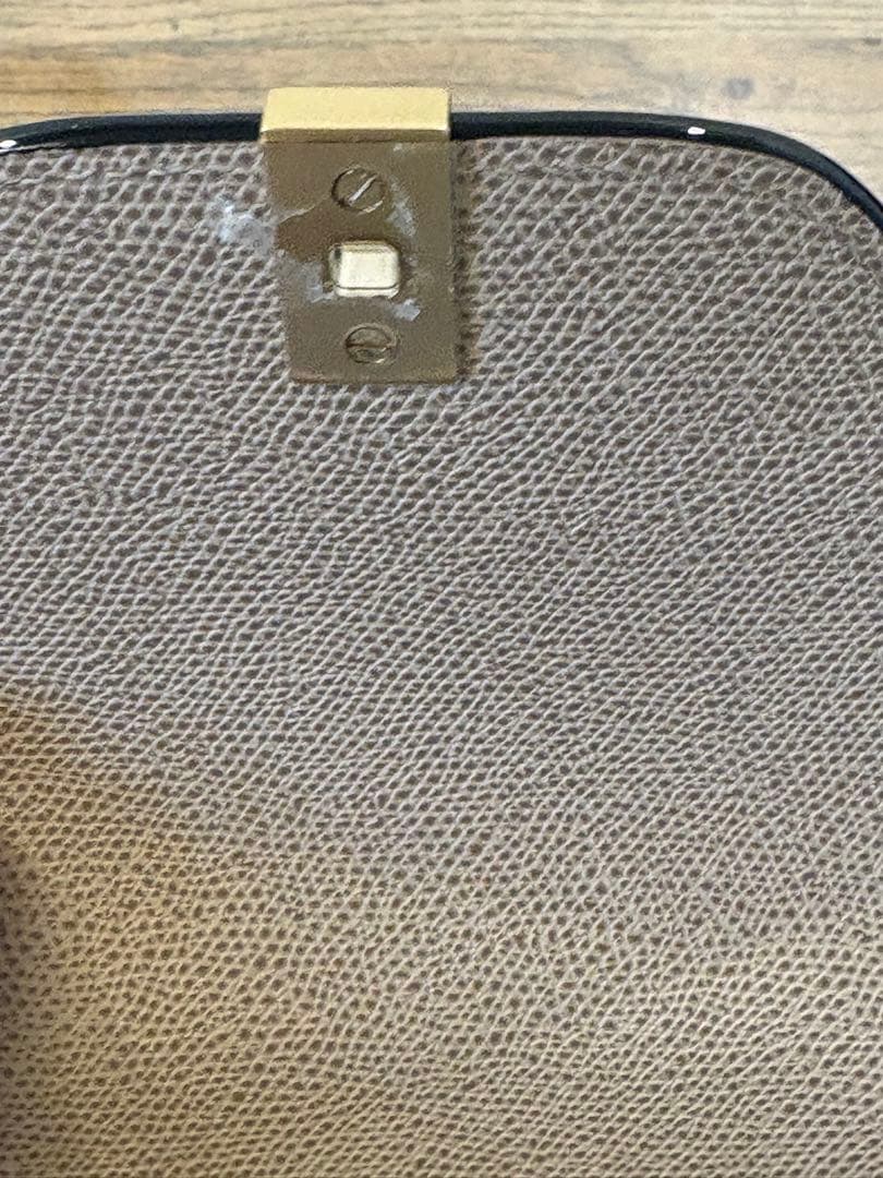 【一度のみ使用】ヴァレクストラ　ミニイジィデ　カシミア