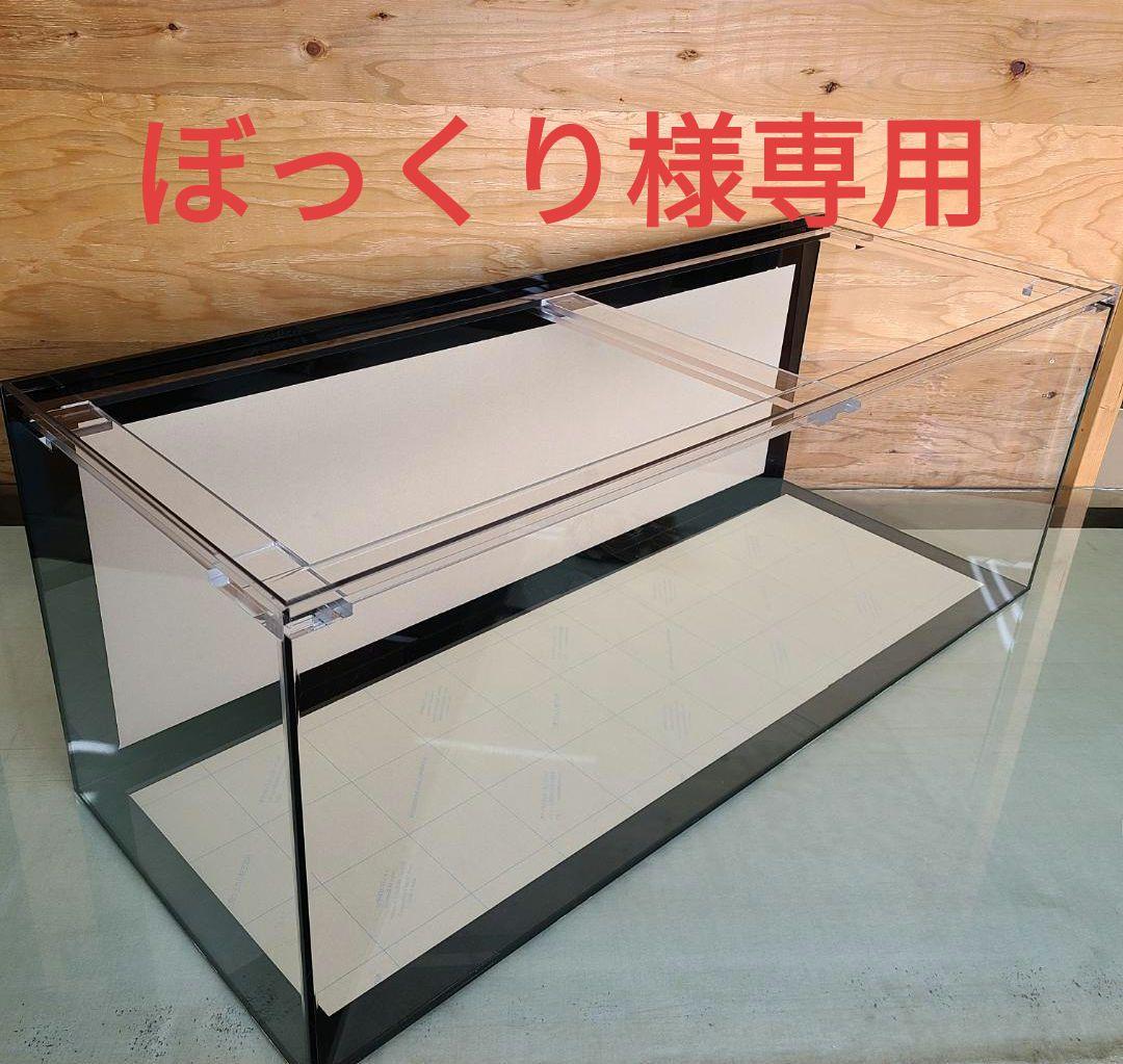 将軍 Mサイズ(浮) 高・低水温 白地保護 錦鯉