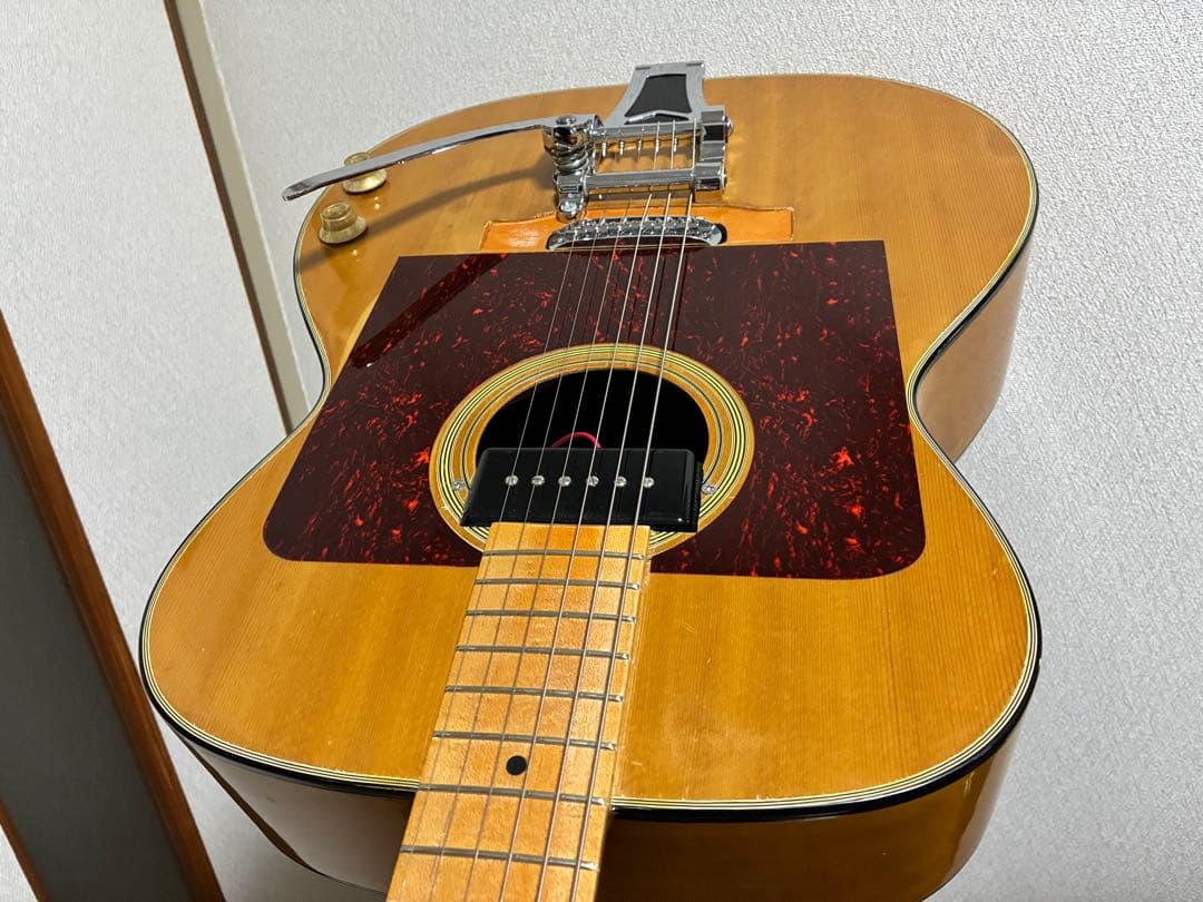 ブランド,モデル名不明 改造品 HC付 フルアコ