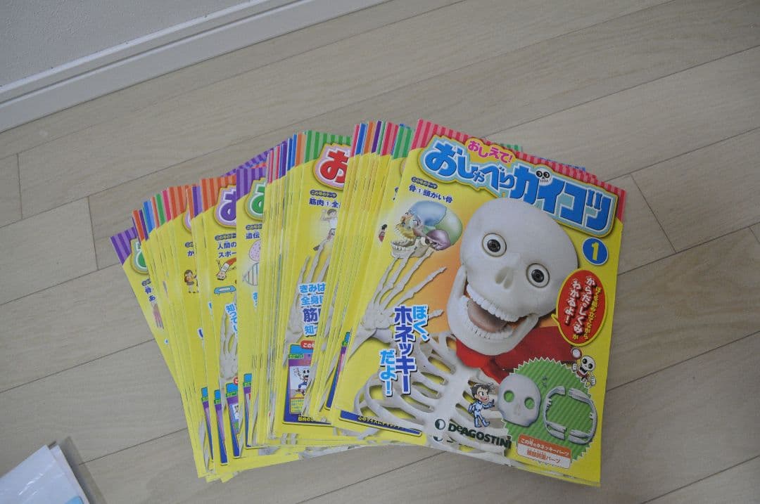 おしゃべりガイコツ ホネッキー 完成品 L108982446 - 知育玩具