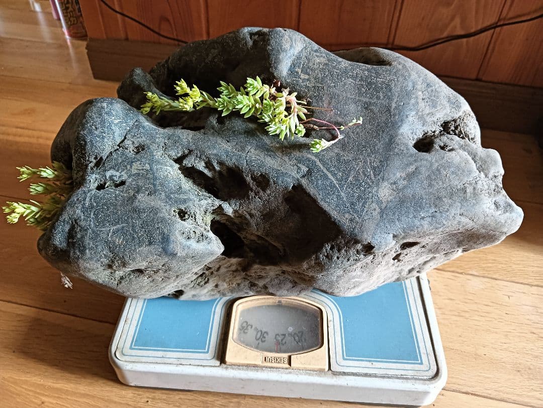 新潟県三大奇石 八海石 26kg 八海山 水無渓谷 八海石(