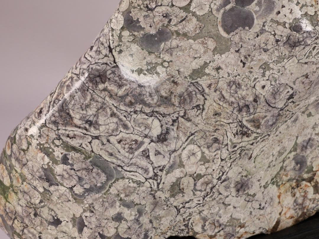 BK216 天然石 鑑賞石 梅花石 花紋石 菊花石 原石 自然石 鉱物 置物