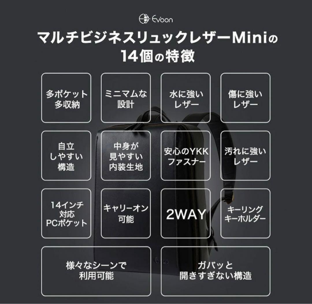 【新品未使用品】 Evoon マルチビジネス リュック レザー Mini