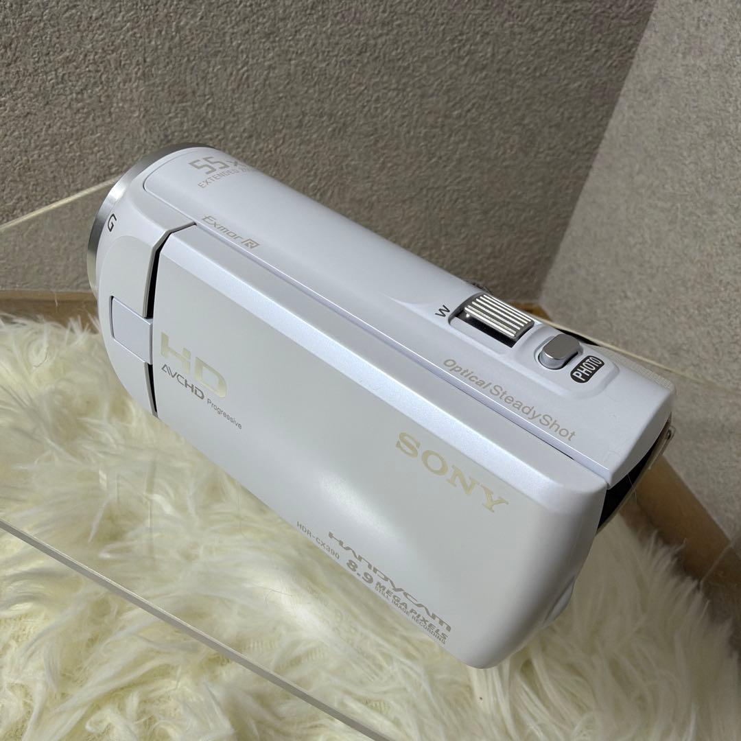 【極美品】SONY ハンディカムHDR-CX390 付属品多数