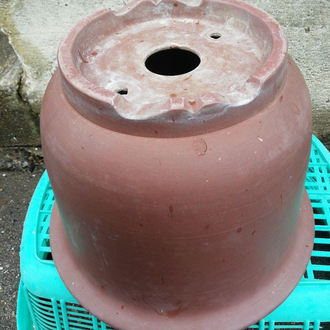 ミニ盆栽鉢、盆栽鉢、植木鉢、鉢、山野草鉢、盆栽