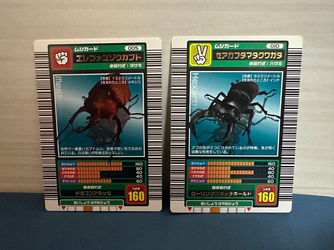 ヘラクレスオオカブトの特大標本 D.hヘラクレス 大型 野外標本