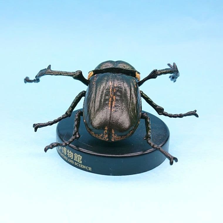 希少【海洋堂】国立科学博物館 カプセルミュージアム