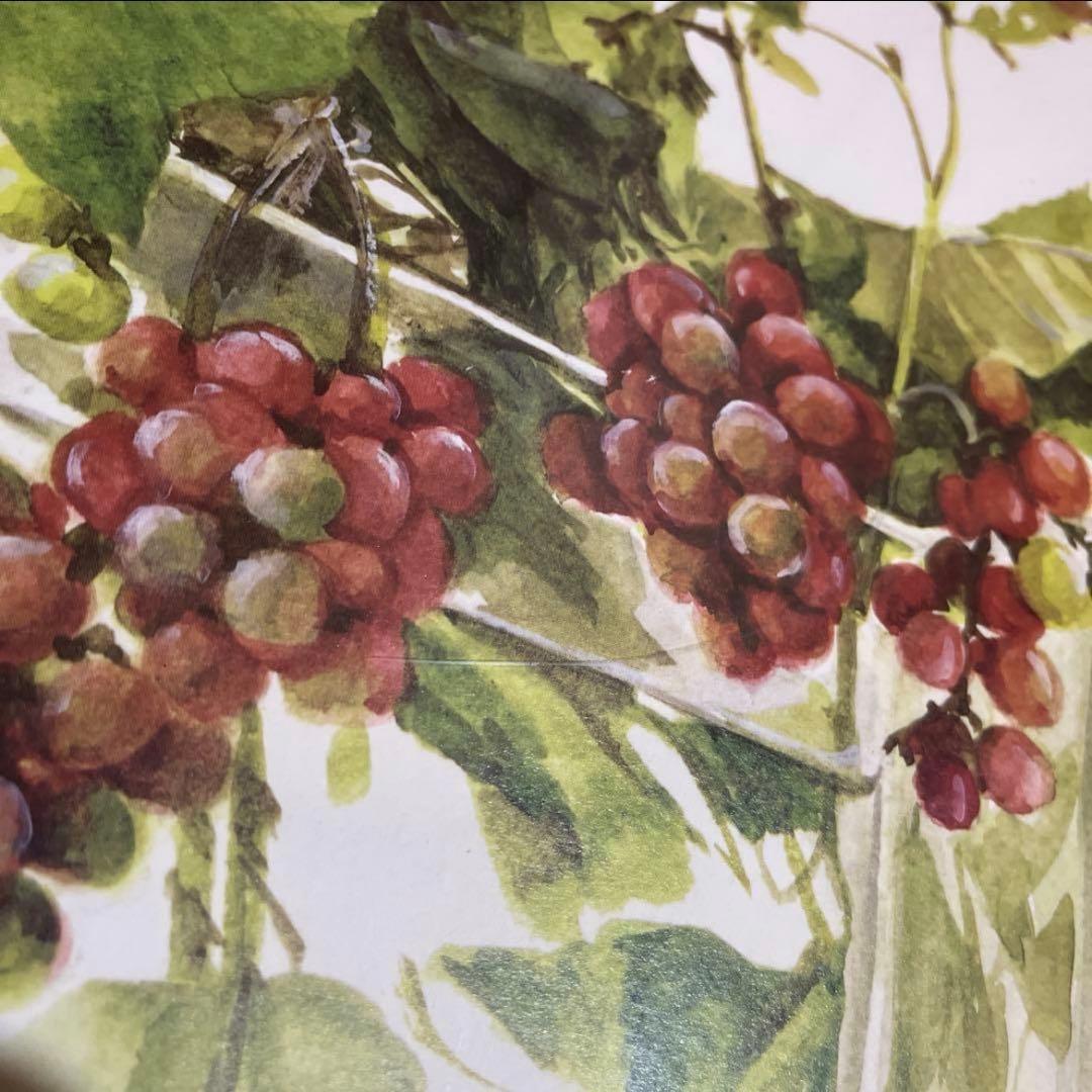 アート　絵画　橋本不二子　美術品　額　46×58cm 水彩画　植物画　縁起物