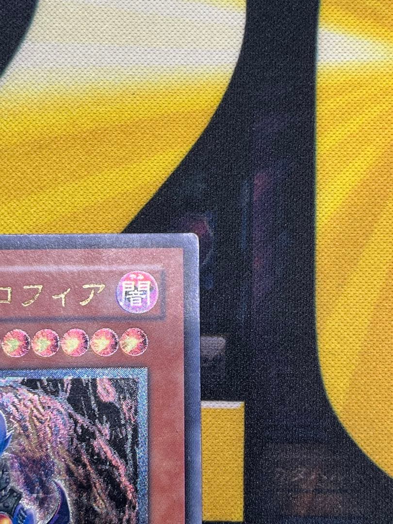 で*い様 遊戯王　ダークネクロフィア レリーフ　LN-14　②