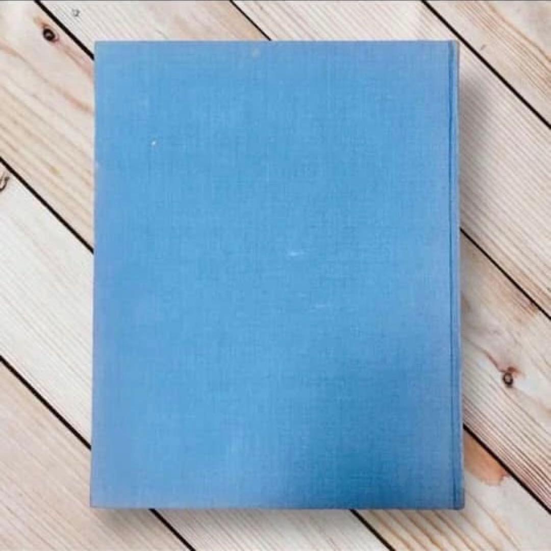 1973年絶版本 『凧』 広井力 毎日新聞 郷土玩具 大型カラー図録 - メルカリ