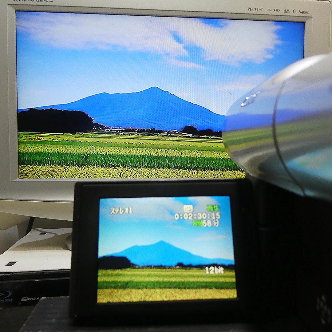 動作良好 Canon DM-FV1 MiniDVビデオカメラ　DVD化に最適