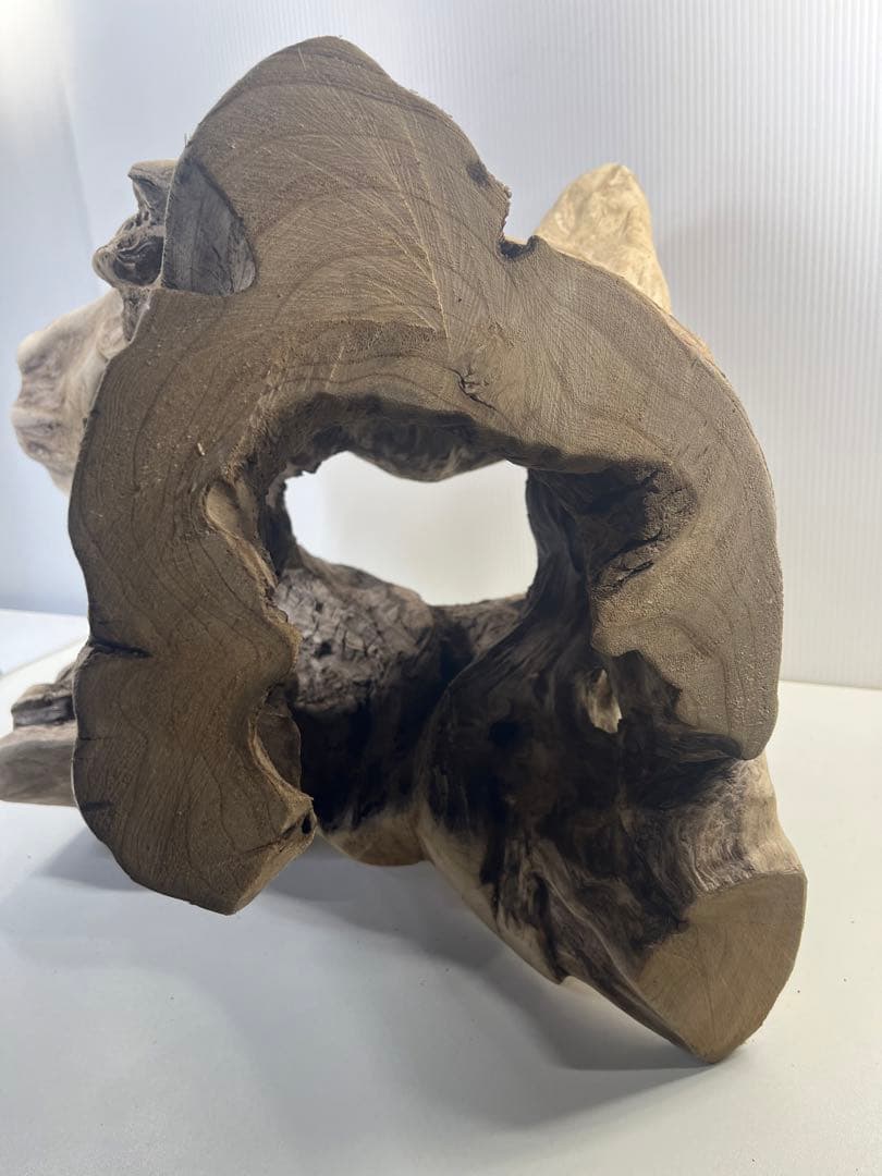 R79アク抜き済み流木 爬虫類シェルター 登り木 インテリア 生け花の