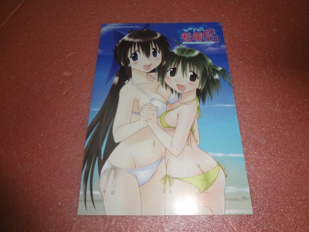 イラストカード ながされて藍蘭島 11枚