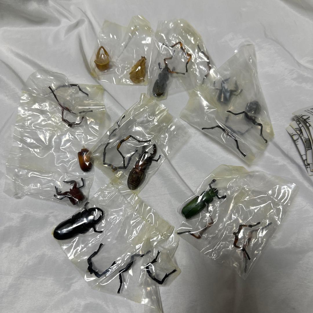 廃盤 希少 全7種コンプ 「カプセルQミュージアム 日本クワガタムシ大全