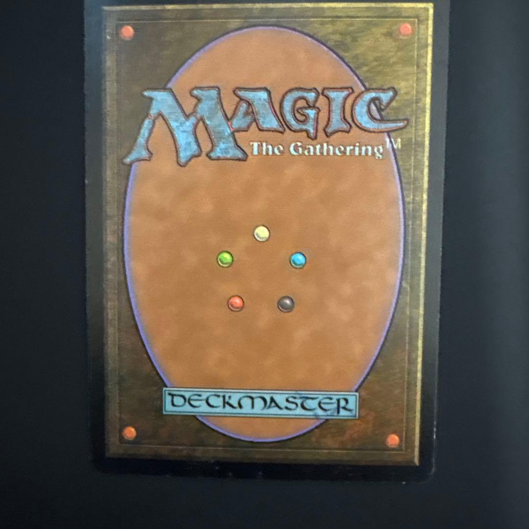 MTG foil 蓄積した知識　日本語