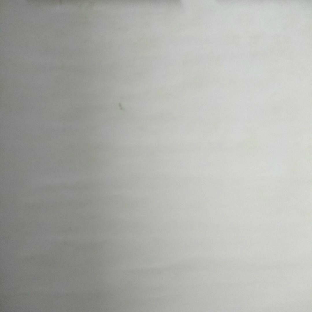 【非売品】中森明菜 86年 明菜ランド イン  ハワイアンセンター 告知ポスター