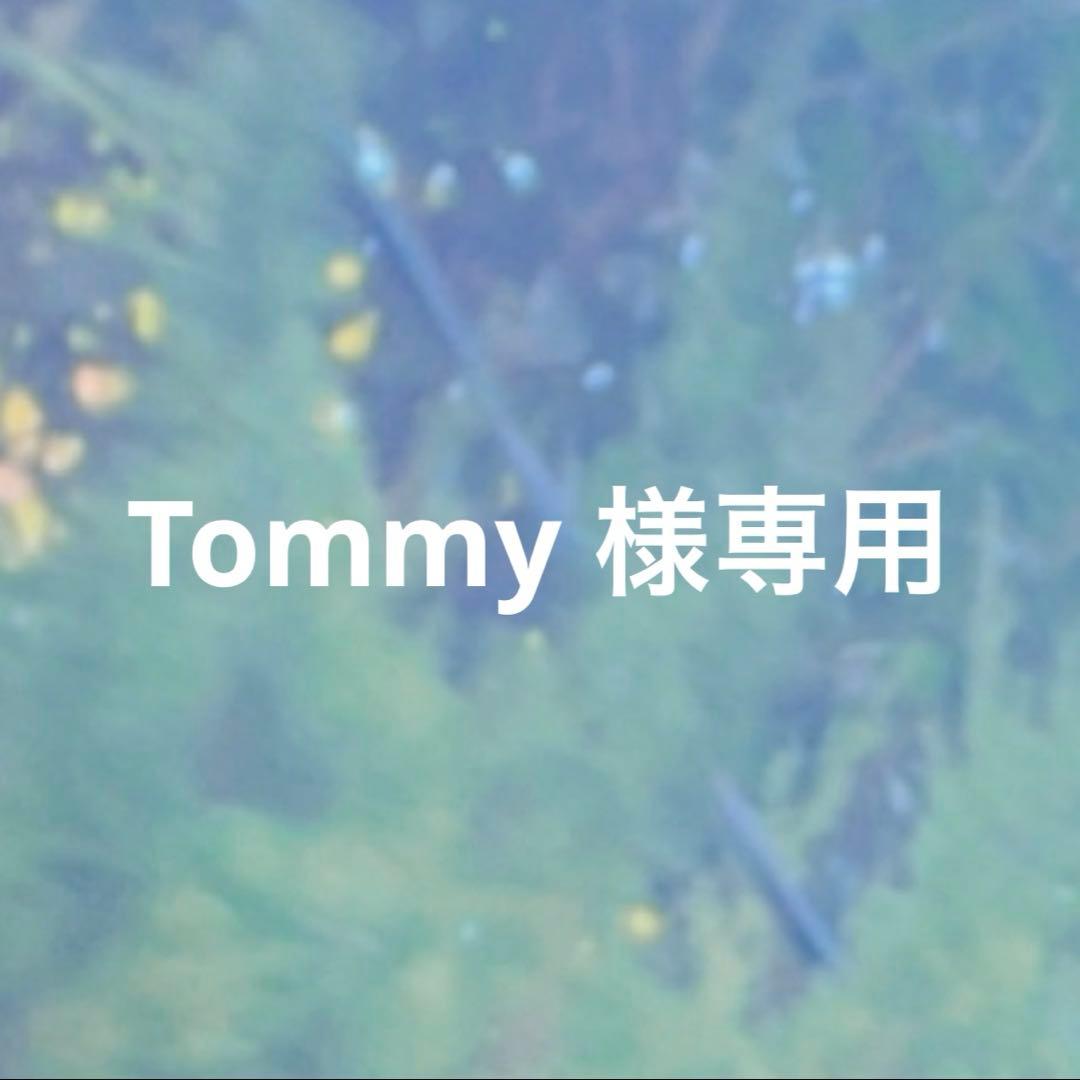 出品 2人で過ごす日々 a RRR ZX-6R] I rode the bike I've always