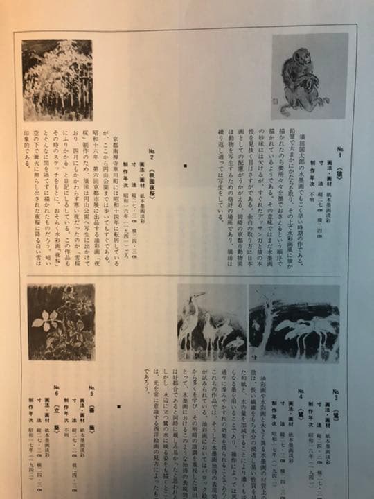 須田国太郎 水墨画集 限定 楽游書房