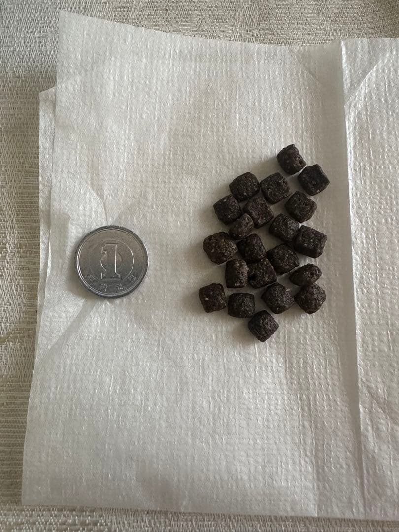 ELMO サーモン&ライス 3kg×2袋 成犬用