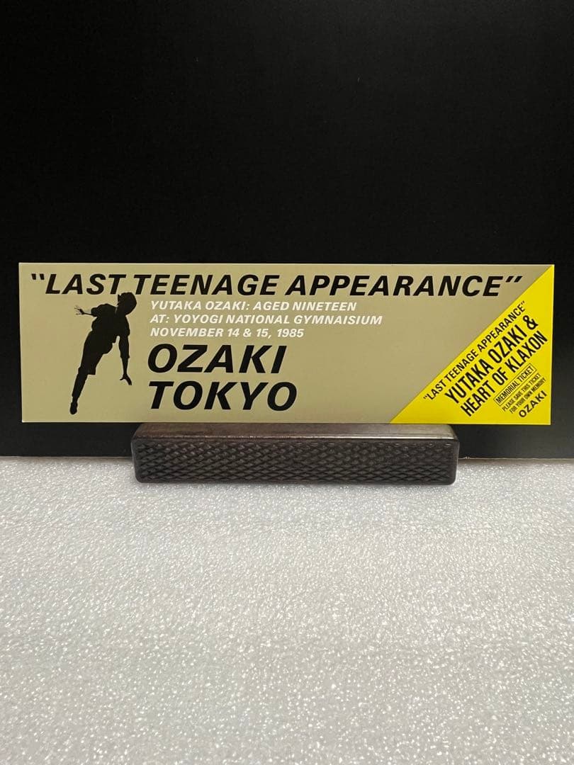 【極上品・チケット付き】尾崎豊 1985-86 ツアー パンフレット OZAKI