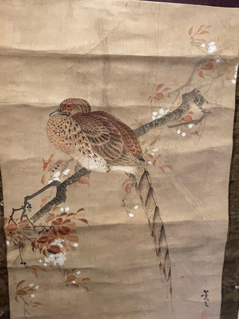 松村景文　山桜ニ山鳥　掛軸　紙本　江戸時代