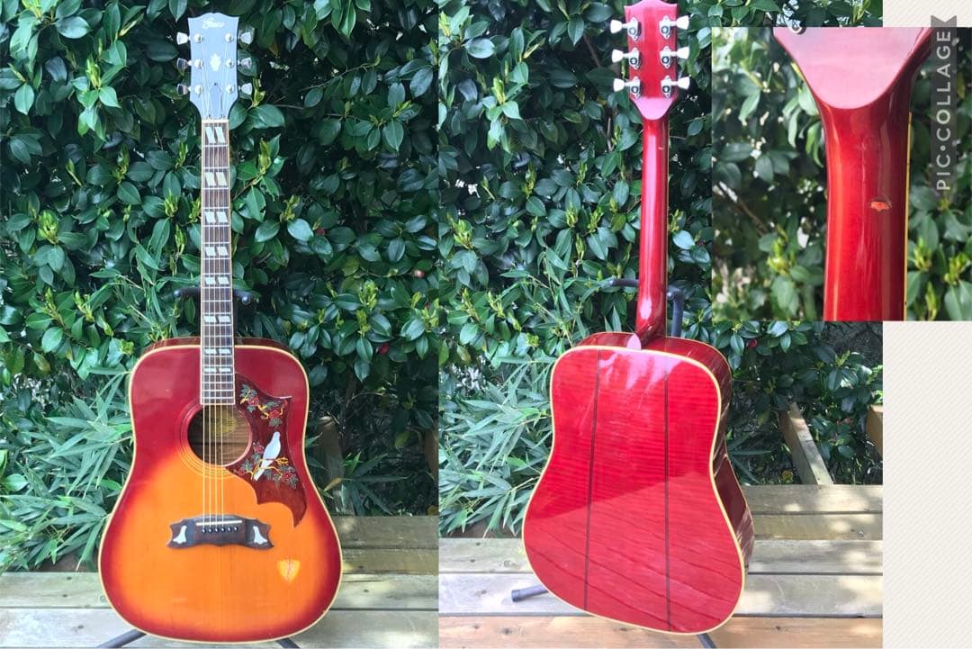 Greco G-303 DOVEタイプ アコースティックギター greco 303 DOVE model