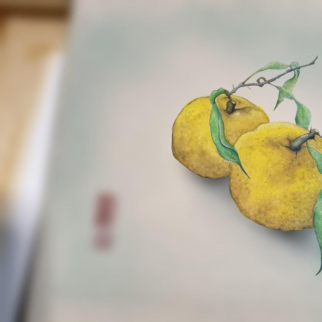 【真作】絵画作者不詳 蜜柑 肉筆　昭和レトロ　色紙