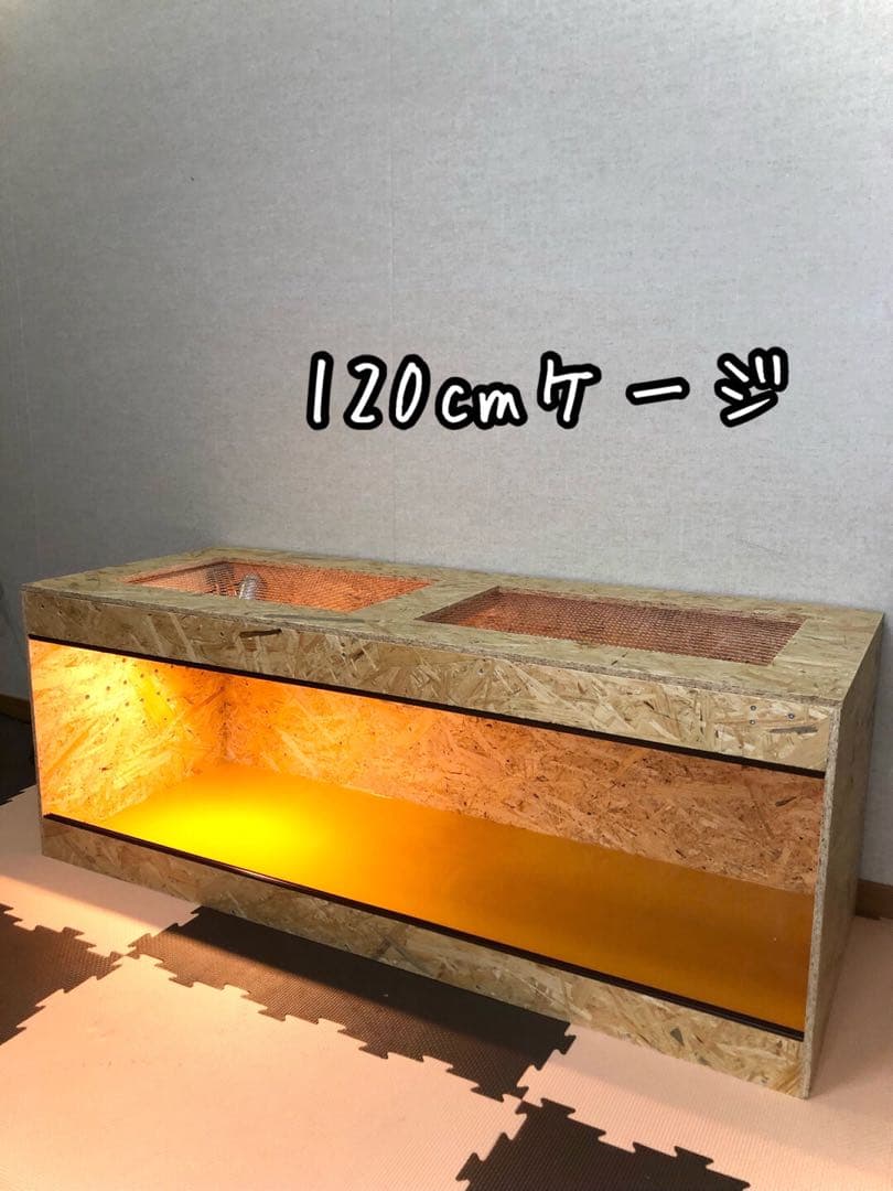 高級瀬戸焼☆アリス☆3☆ウェットシェルター☆レオパ☆ニシアフ