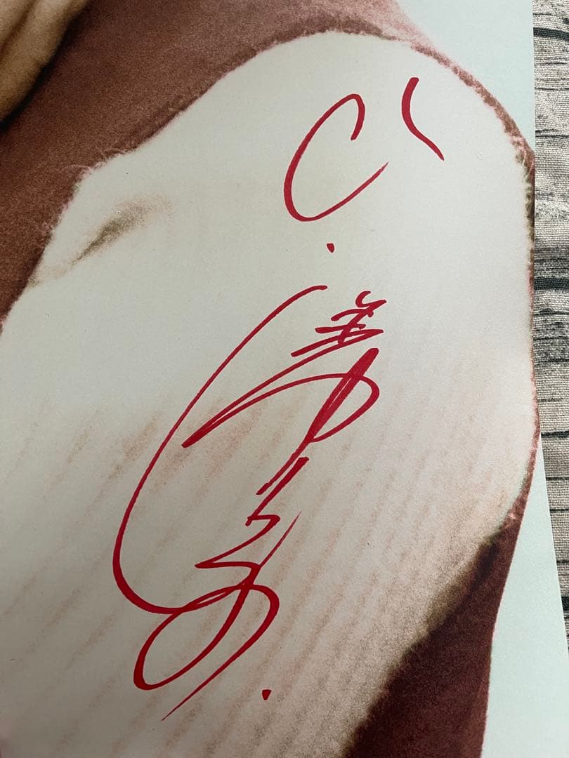 直筆サイン入り】ひし美ゆり子カラーポスター 1967 Ver.1～3セット