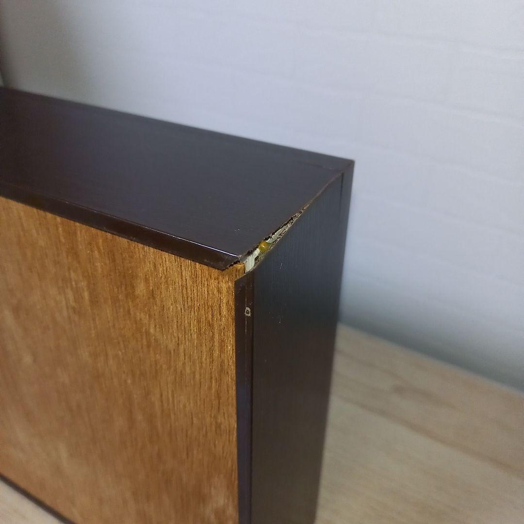 マルスゾウカブトムシ】 マルス標本 雌雄セット 昆虫セット オスメスペア