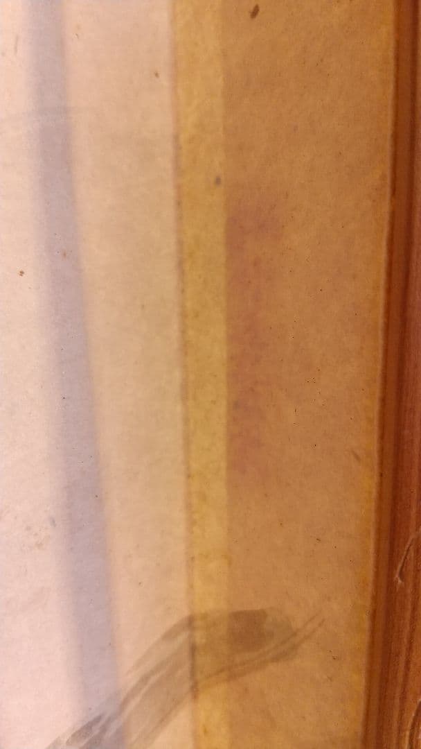 子安刻 竹？骨彫刻 扇子A 要破損 画家不明 舒蓮記監製？ 中国