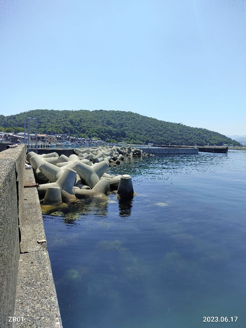 手づくり テトラ ミニチュア Mサイズ30個