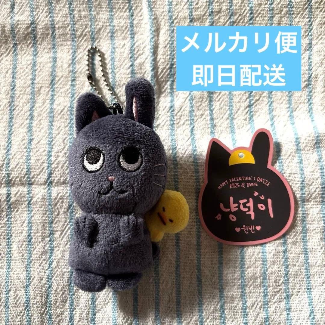 RIIZE ウォンビン ぬいぐるみ トニャンドク 10cm ドール 正規品 - メルカリ