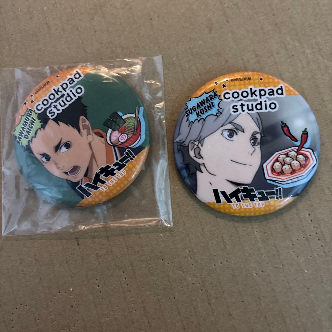 Lapis らぴすくん 缶バッジ 武道館 等身29個