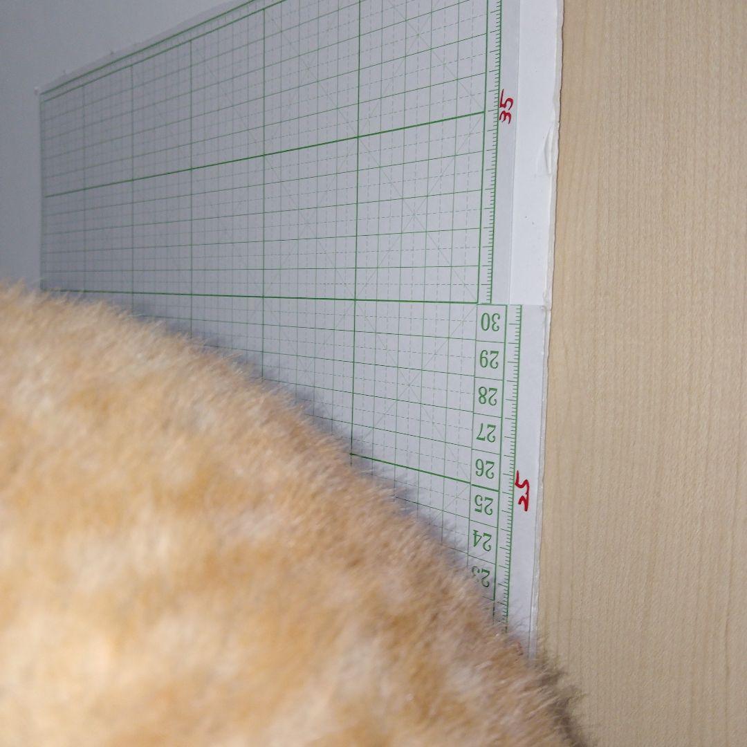 モンスイユ　ルイーズ特大　フクロウのぬいぐるみ 約30cm