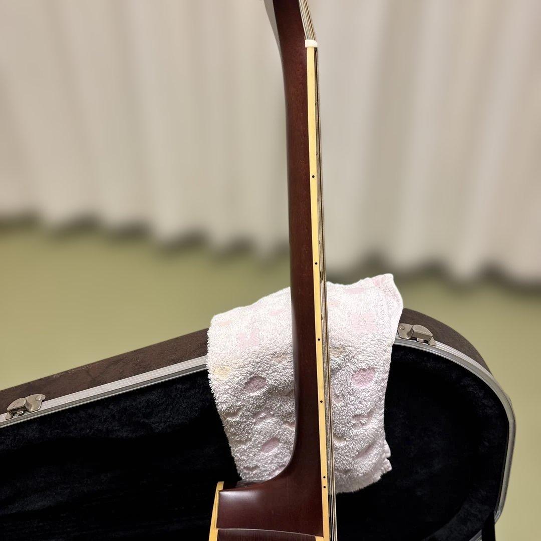 Takamine Tシリーズ アコースティックギター サンバースト takamine ギター