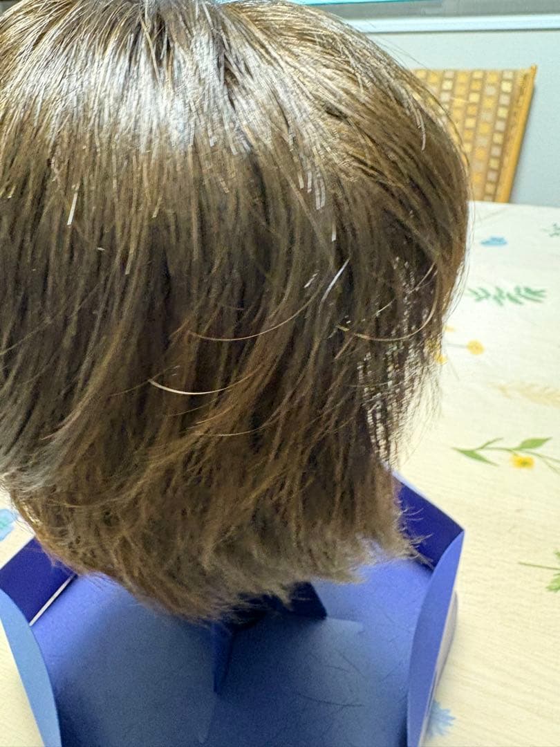 Fontaineブラウン ショートボブウィッグ ウィッグ