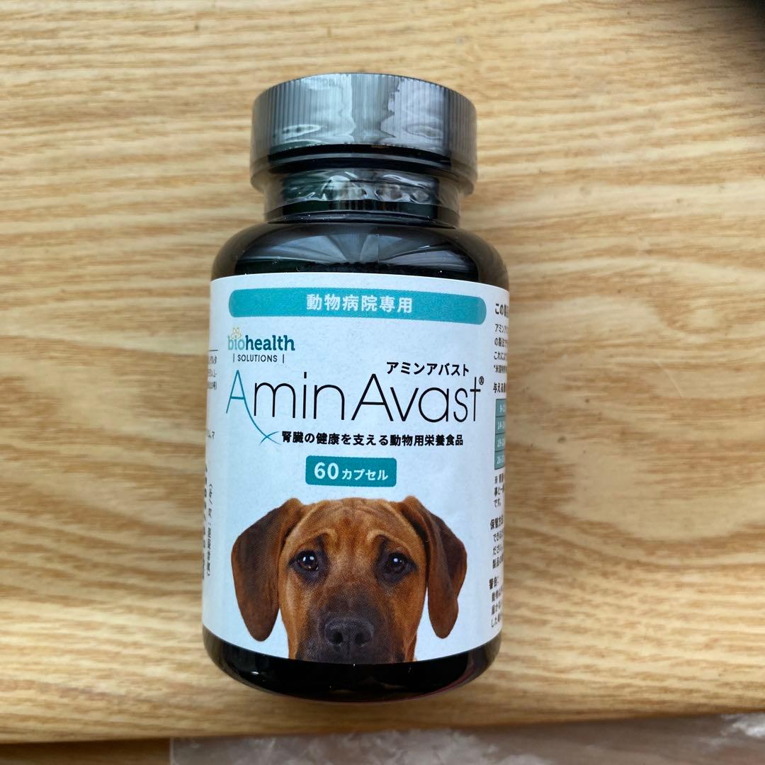 bondir キルティング犬服 ブラック R4