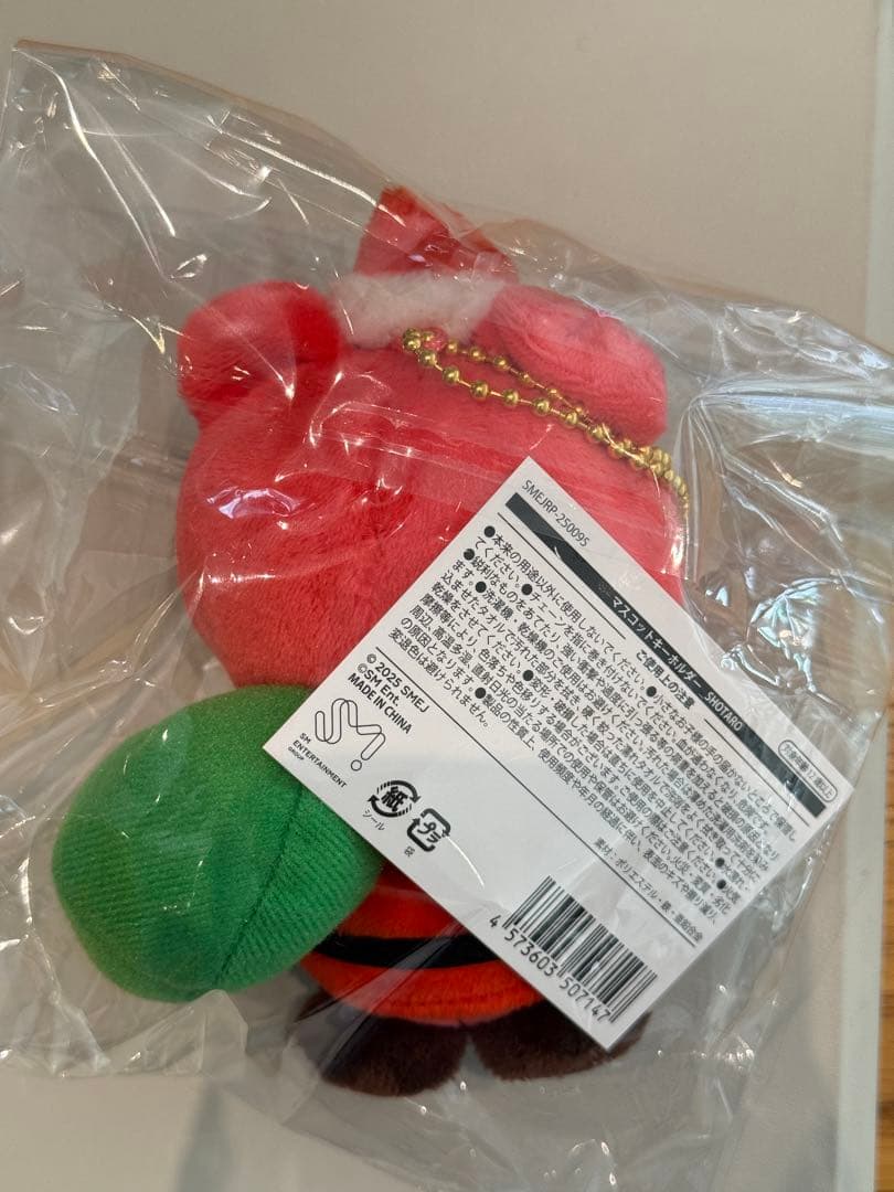 RIIZE 109 マスコットキーホルダー リズコ　ショウタロウ ぬいぐるみ