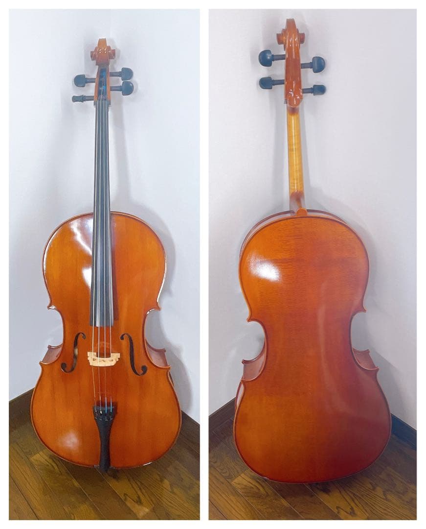 イーストマン　VC100 チェロ　セット　4/4 弓　ケース付き