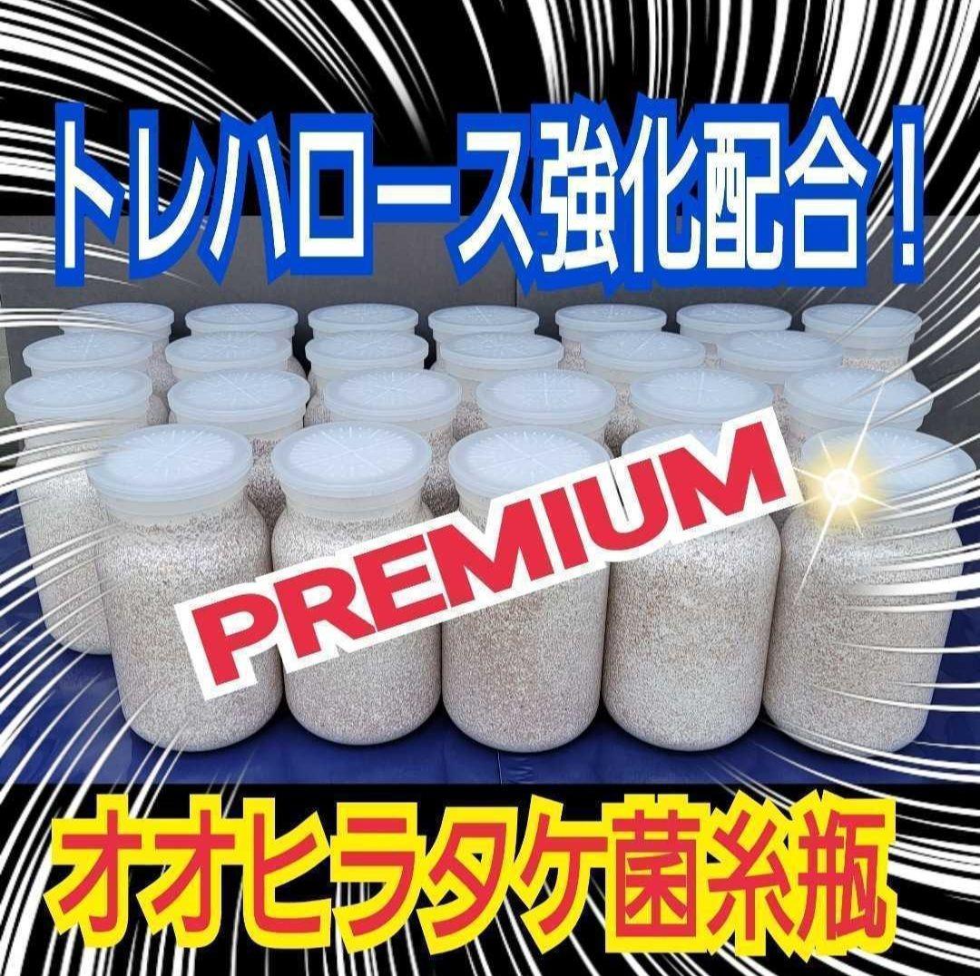 極上！カワラタケ菌糸瓶特大1500ml【5本】特殊アミノ酸強化配合