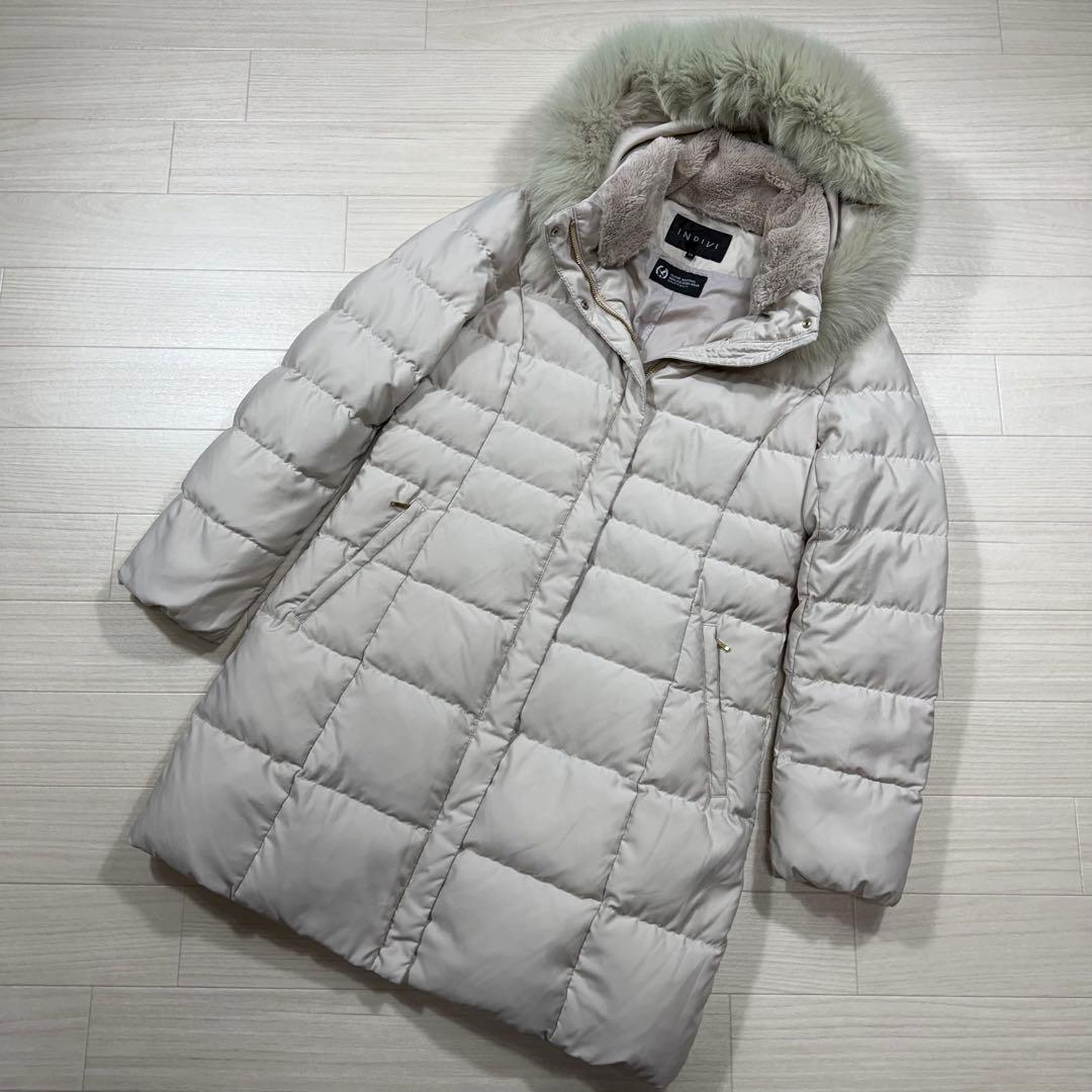 Goniocidaris spinosa ウニ 標本