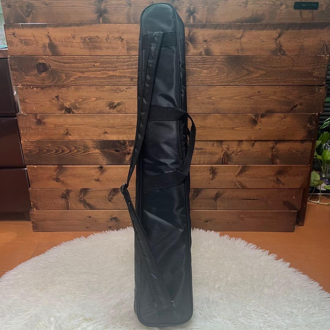 【極美品/フルスケール/ケース付き】AnyGig AGES-E トラベルギター