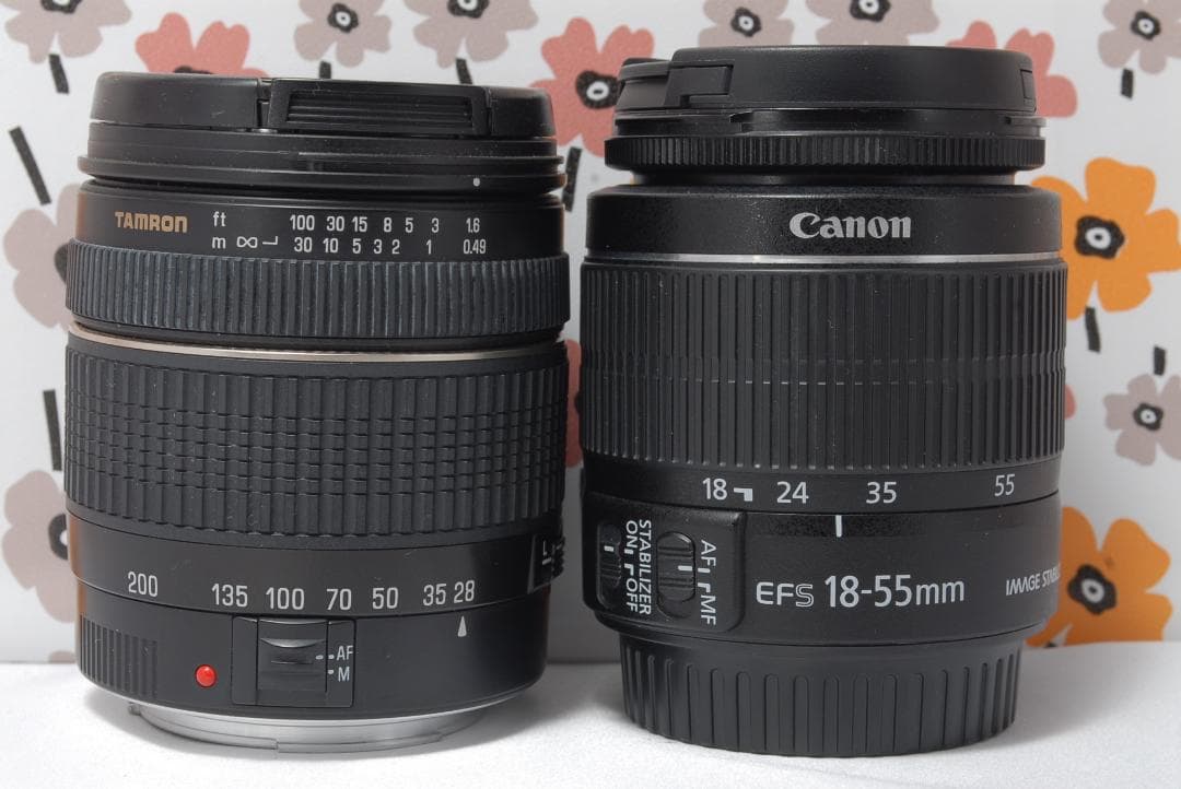 Canon EOS Kiss X10i マクロレンズ ズームレンズ付き ふらふら Canon