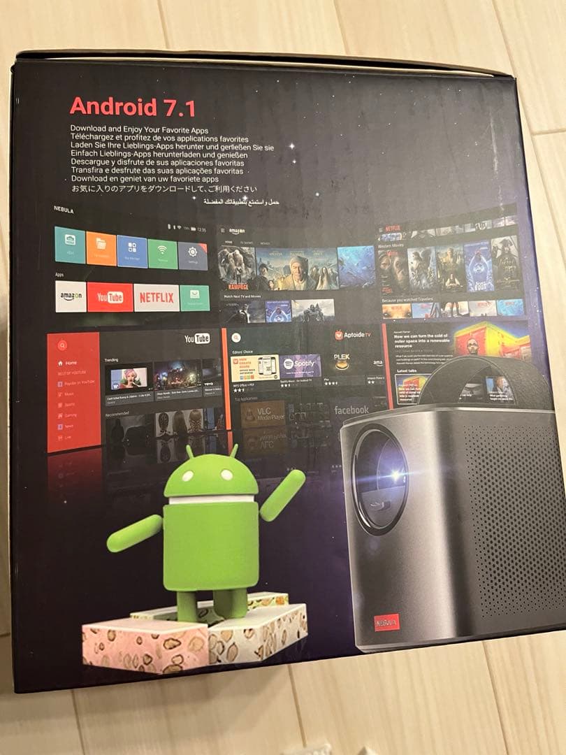 土野進絵画エプロンを着た女原画油絵