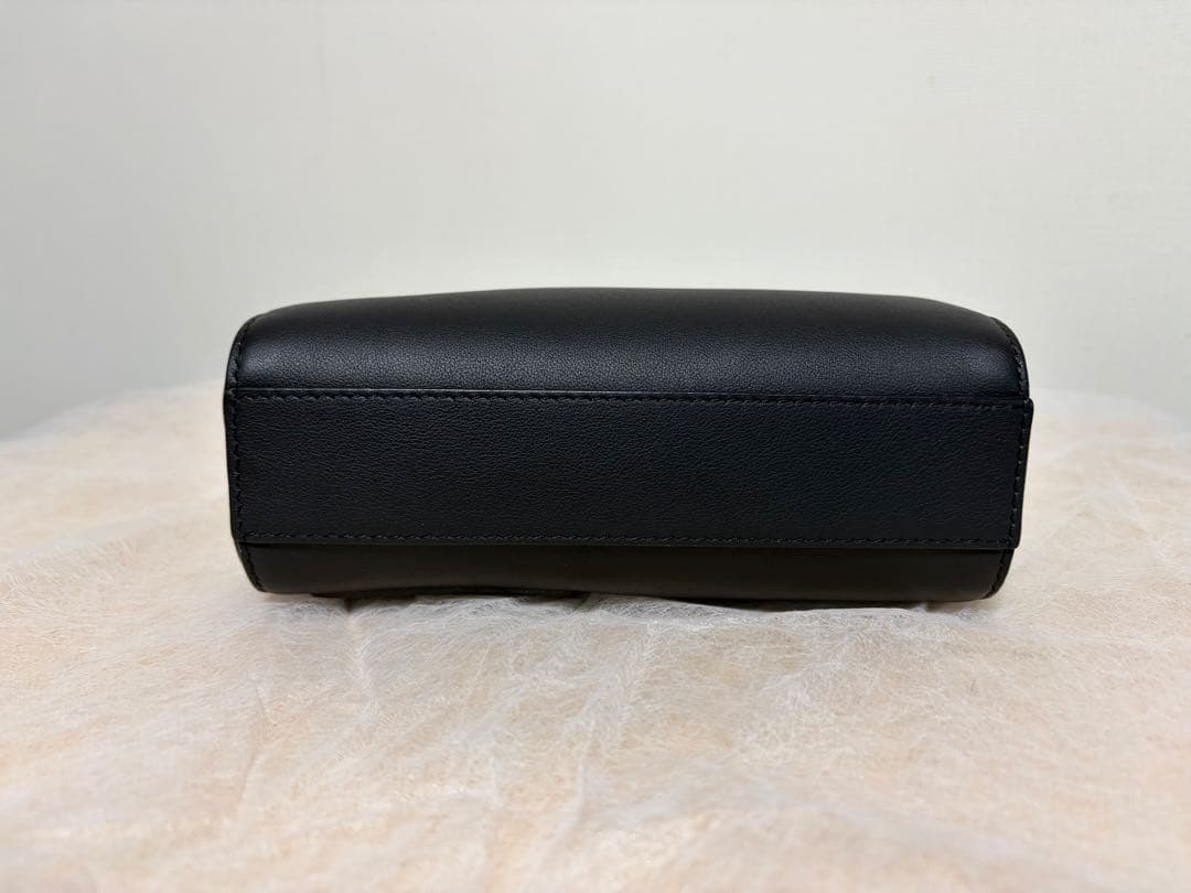 【美品】LOEWE ロエベ カメラクロスボディバッグ ショルダーバッグ