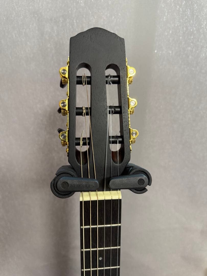 Nylon Electric Guitar　サイレントソリッドエレガット