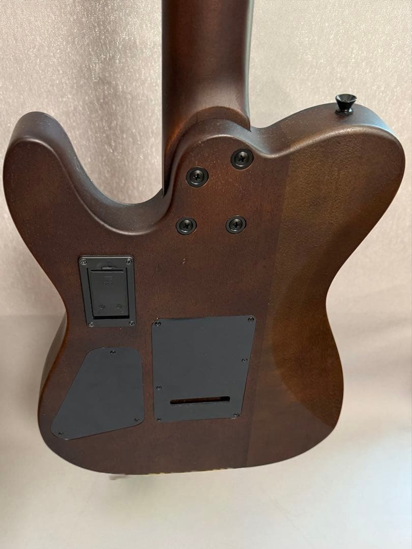 Nylon Electric Guitar　サイレントソリッドエレガット