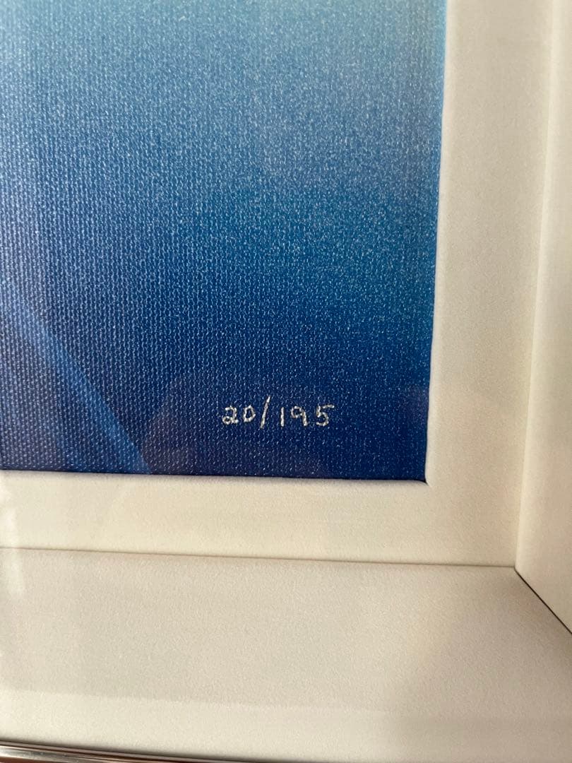 ディズニー エルサズトランスフォーメーションJP版 ジクレ ED195