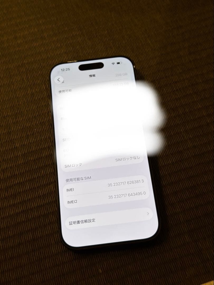 携帯電話本体 iPhone 17 black